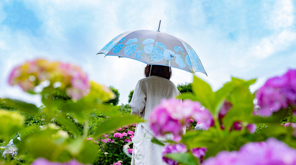 紫陽花柄の婦人長傘