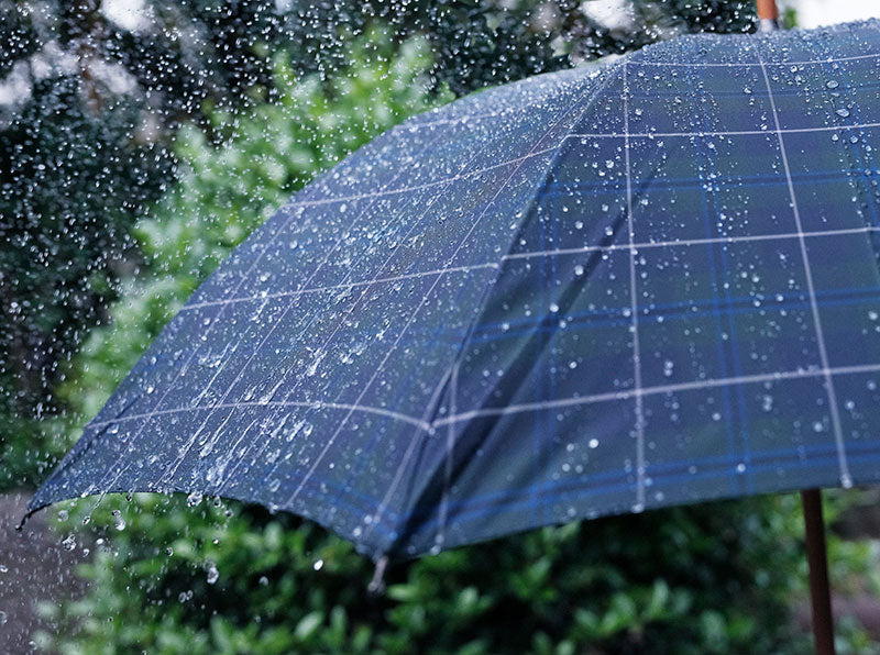 雨を弾く傘