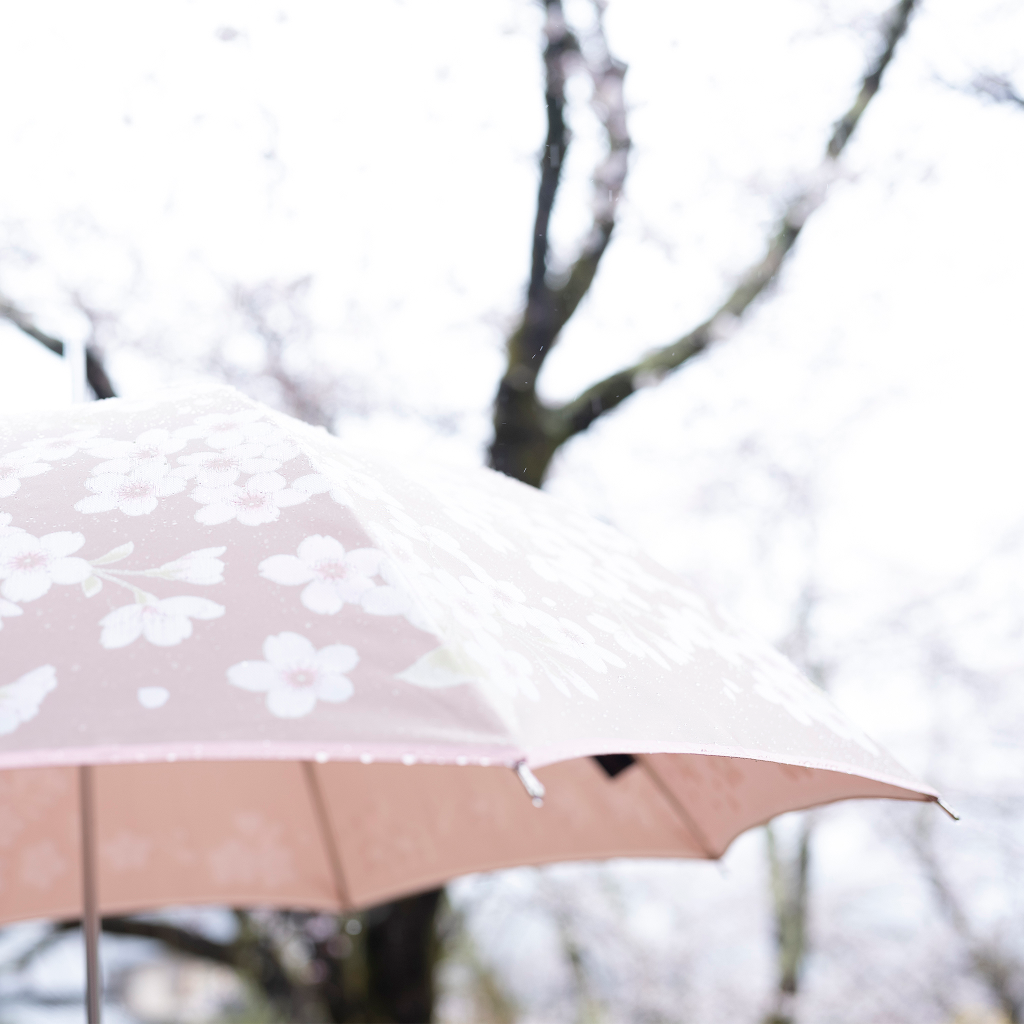 桜柄のレディース傘