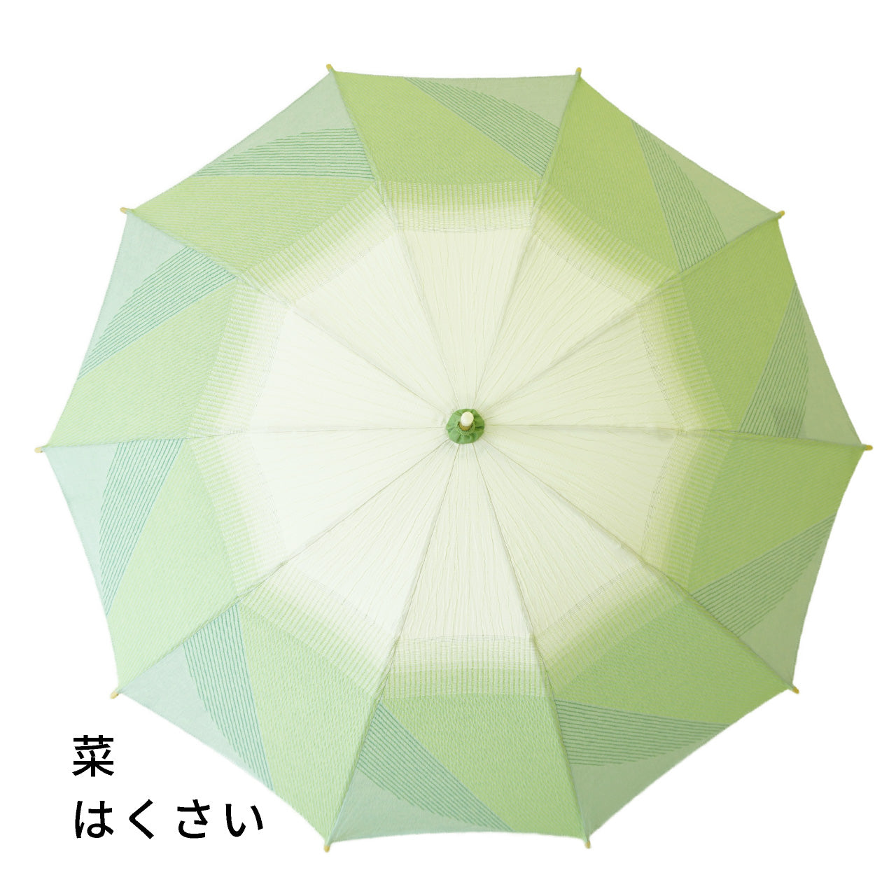 菜 はくさい 日傘