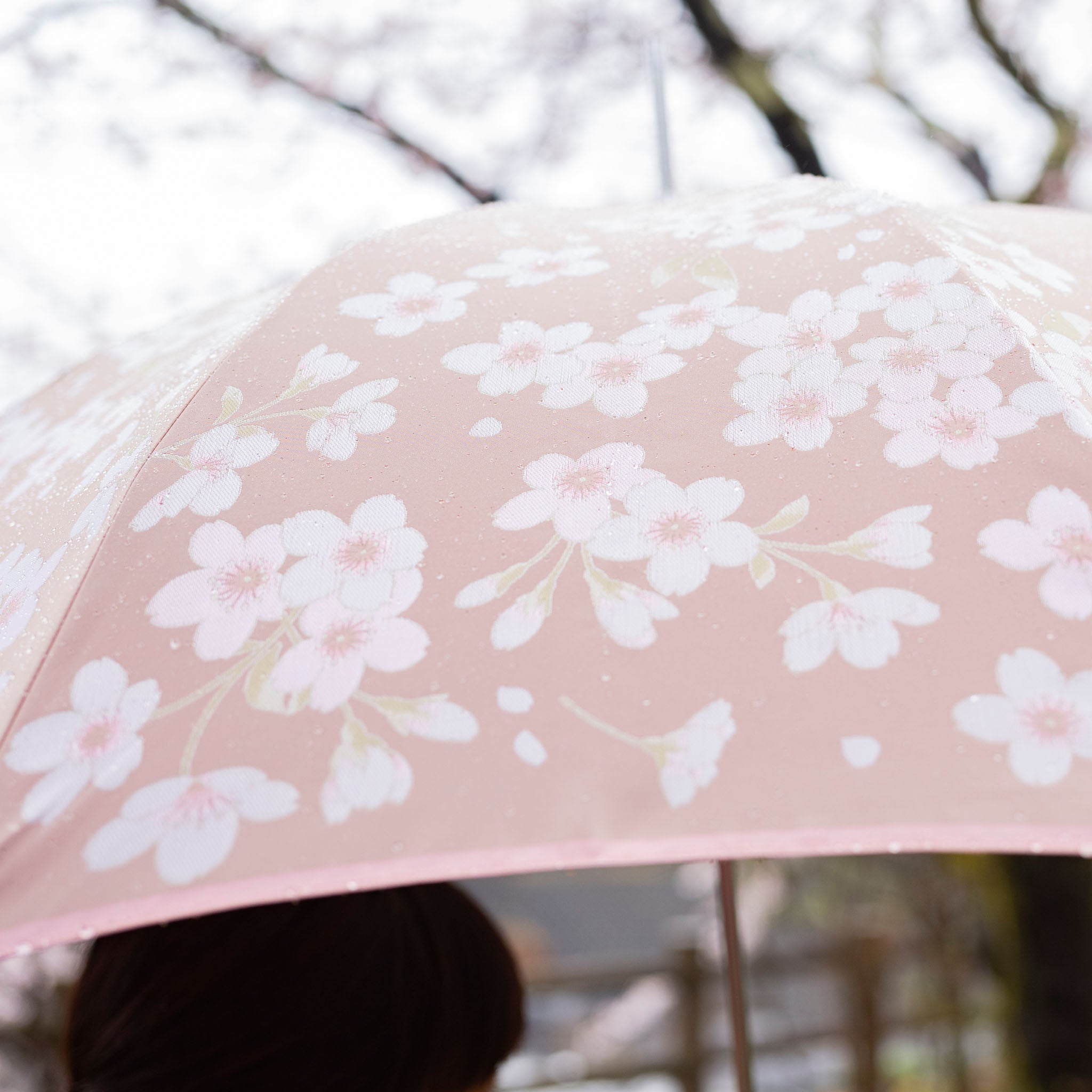 レディース晴雨兼用傘 絵おり 桜 柄アップ