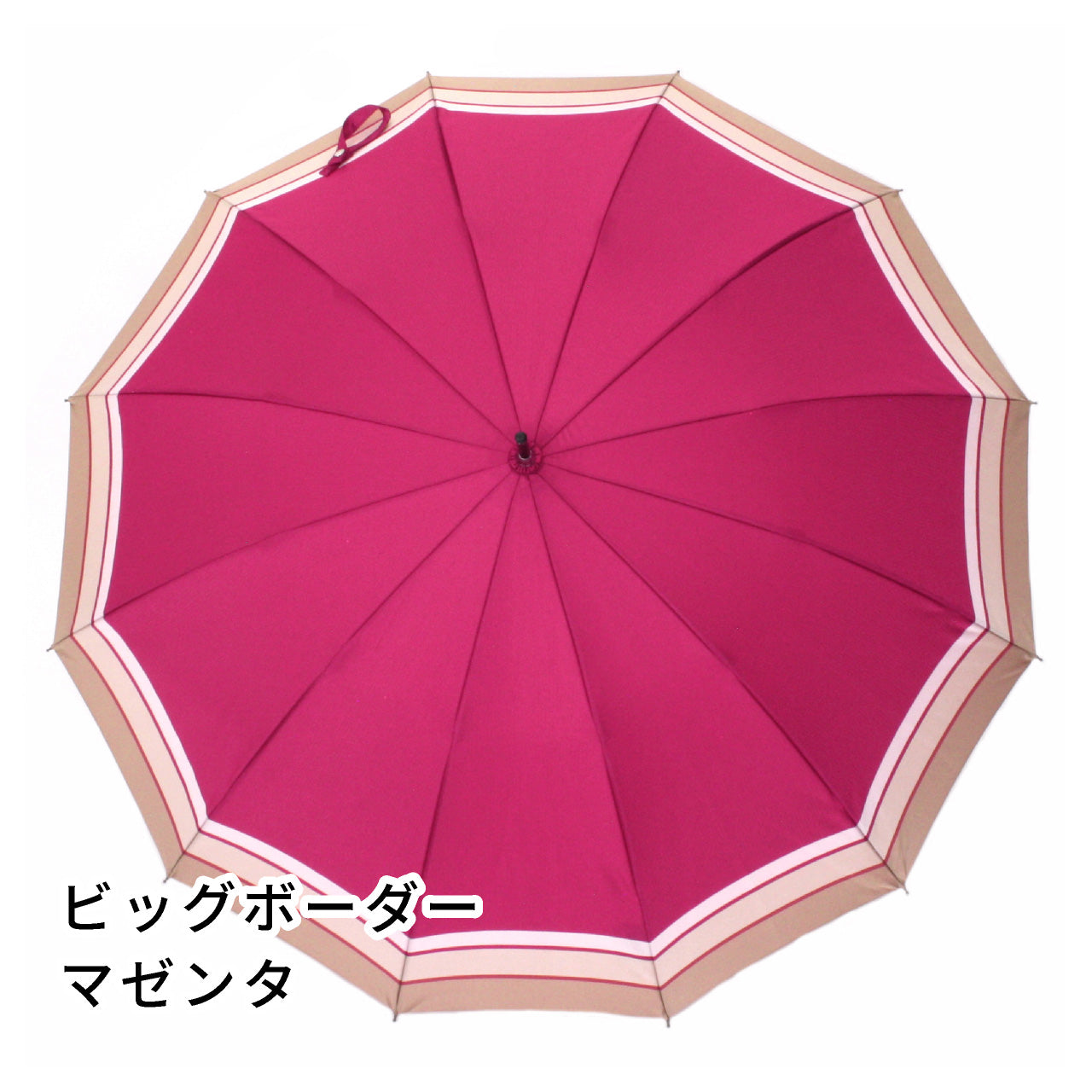 晴雨兼用 レディース SCENE ビッグボーダー マゼンタ 長傘