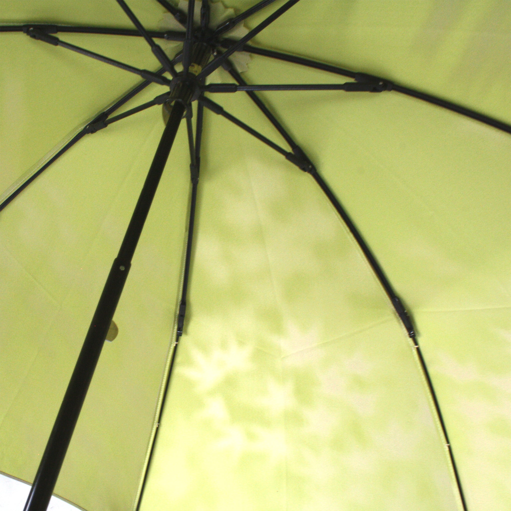 晴雨兼用 レディース こもれび カエデ ライトグリーン 折りたたみ傘
