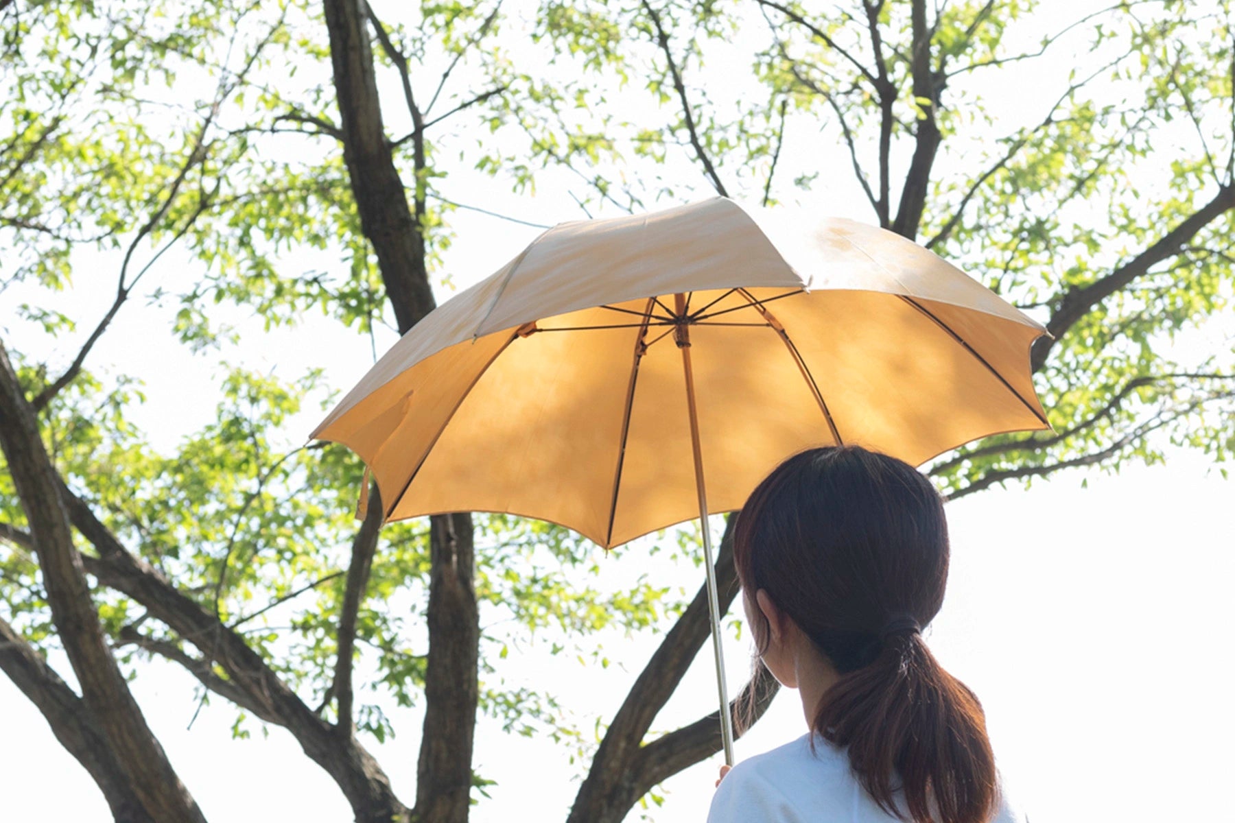黄色の晴雨兼用日傘