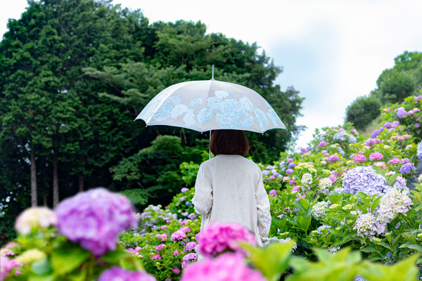 紫陽花と紫陽花柄の婦人傘