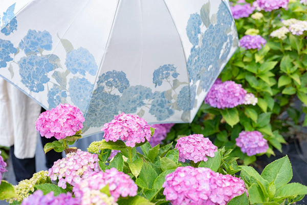 紫陽花の婦人長傘