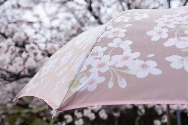 雨の日でも桜を楽しもう！知っておきたい花見の楽しみ方と準備