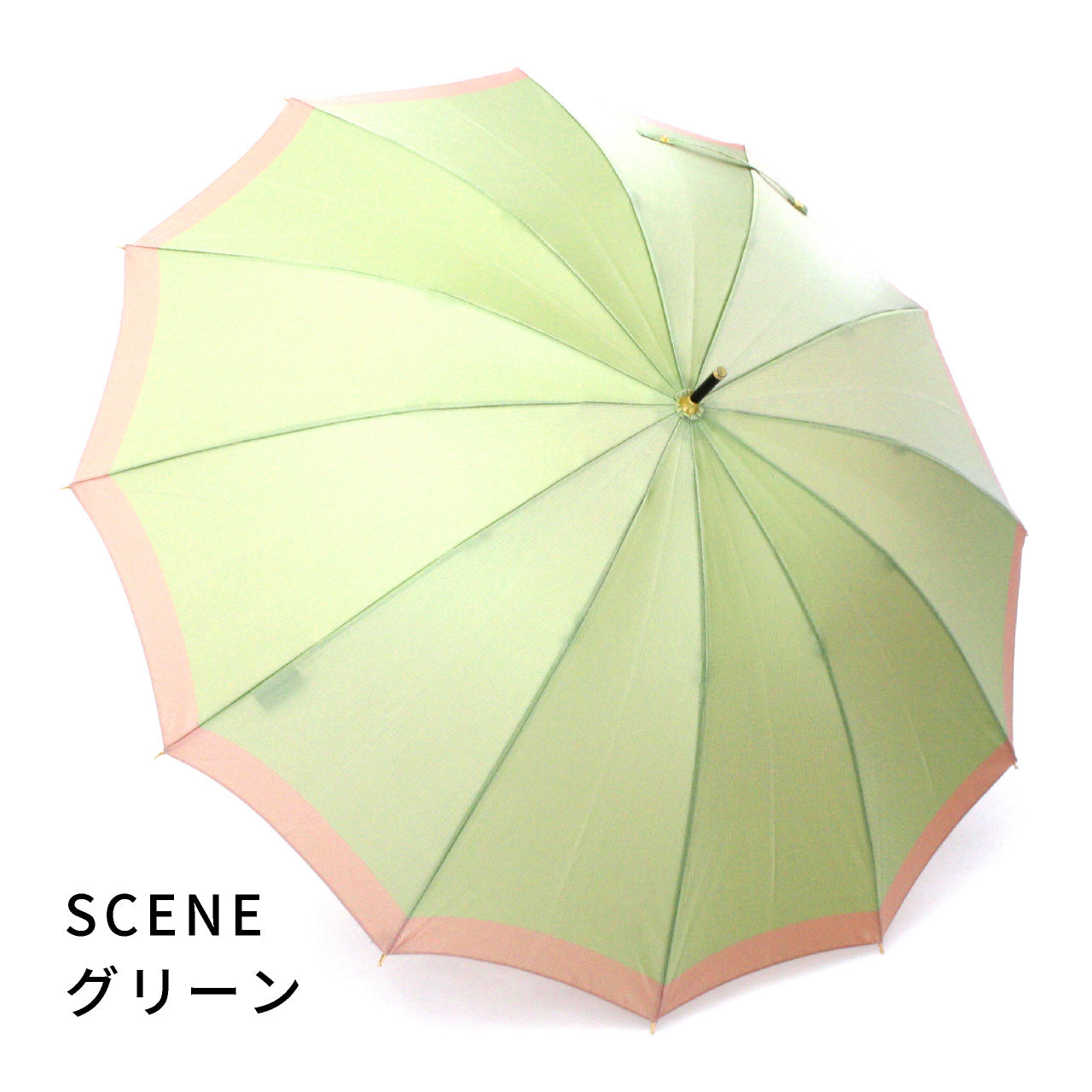 晴雨兼用　長傘　SCENE　グログランシャンブレー　グリーン　長傘