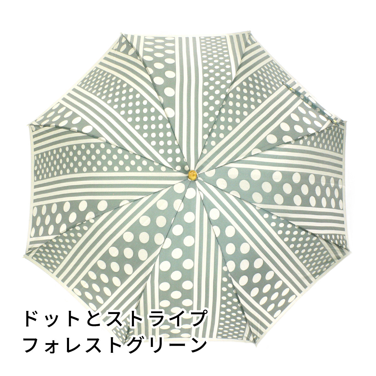 晴雨兼用　レディース　kirie　ドットとストライプ　フォレストグリーン　長傘