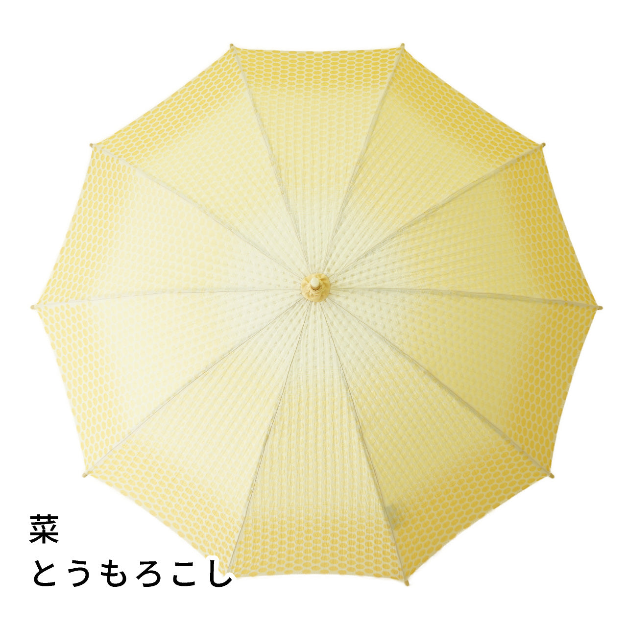 菜　とうもろこし　日傘