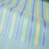 晴雨兼用　レディース　Riff　ミントグリーン内側ストライプ