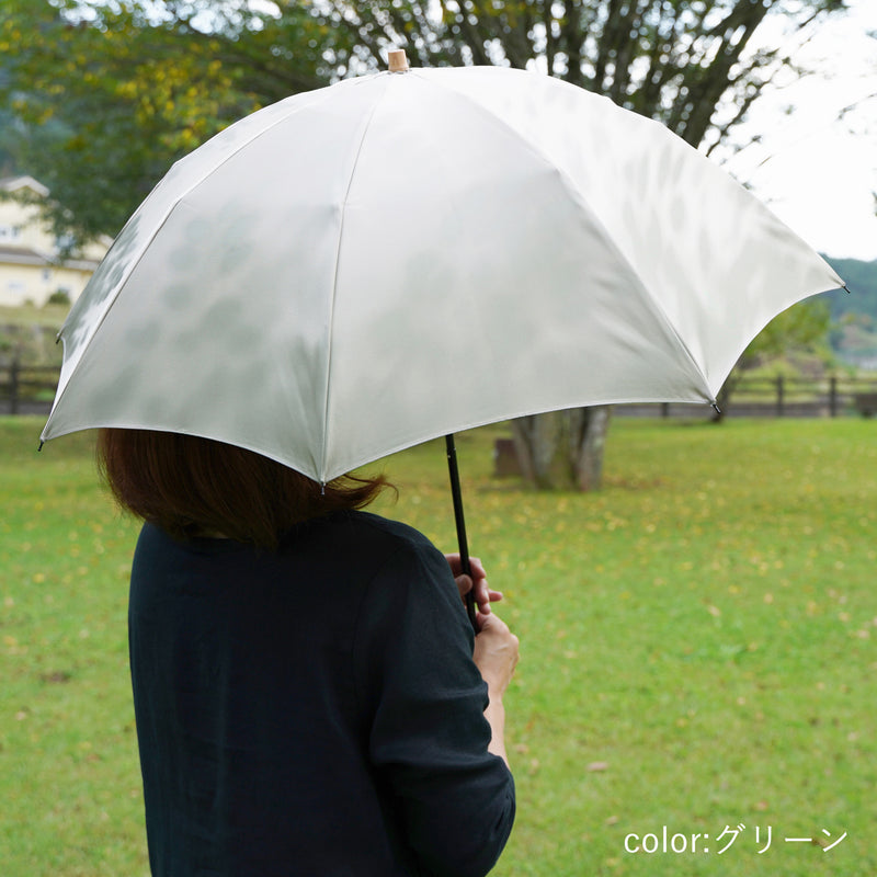 晴雨兼用折りたたみ傘　レディース　こもれび　ブナ　グリーン