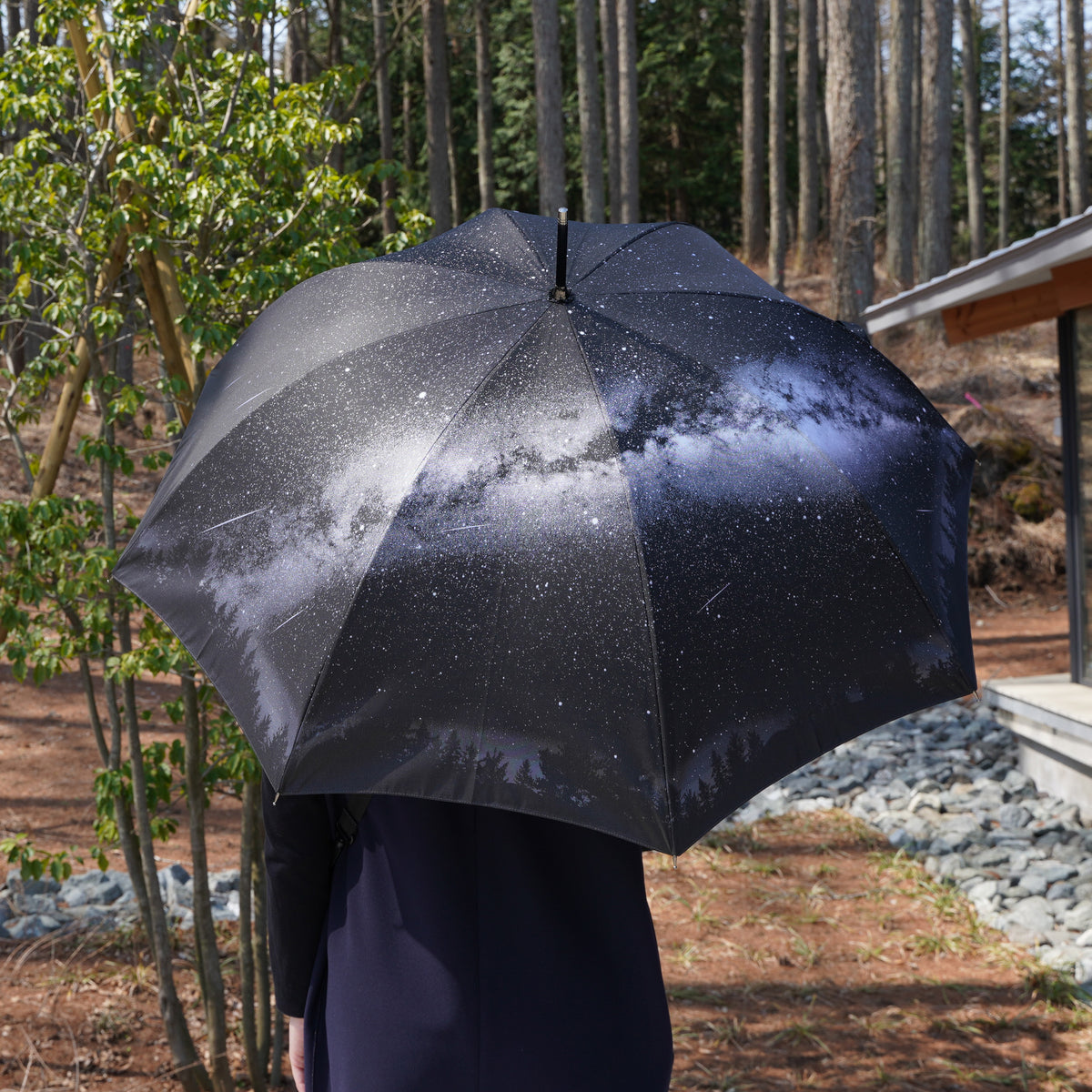 星降る森 – 槇田商店公式ショップ