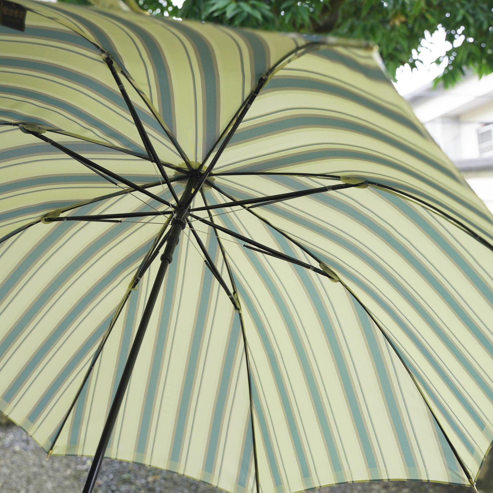 6月にこの色はラッキーカラーて^_^す！未使用トラサルディ長傘 6月にこの色はラッキーカラーて^_^す！未使用トラサルディ