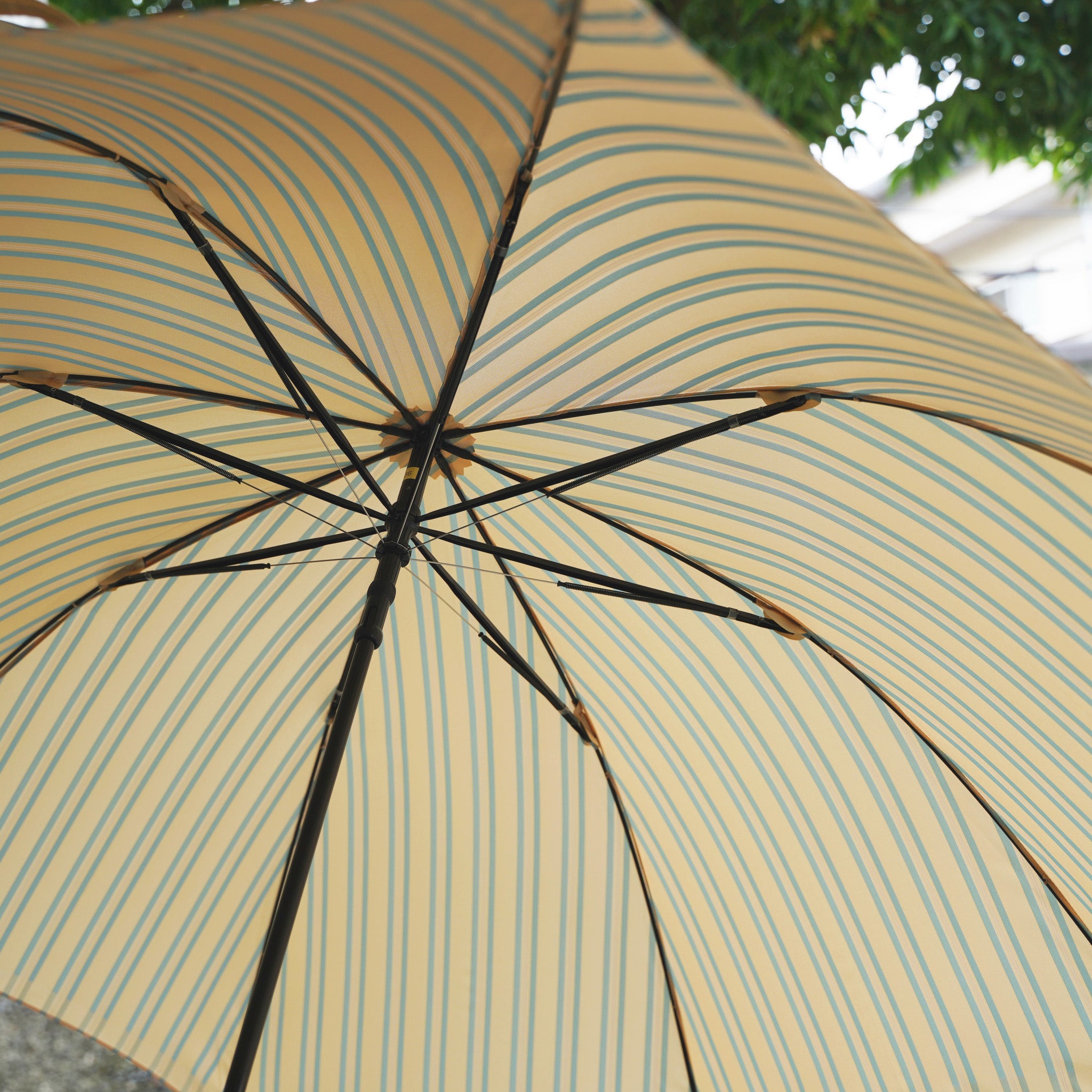 かわいらしさのあるレディースのジャンプ傘！晴雨兼用雨傘8本骨60cm