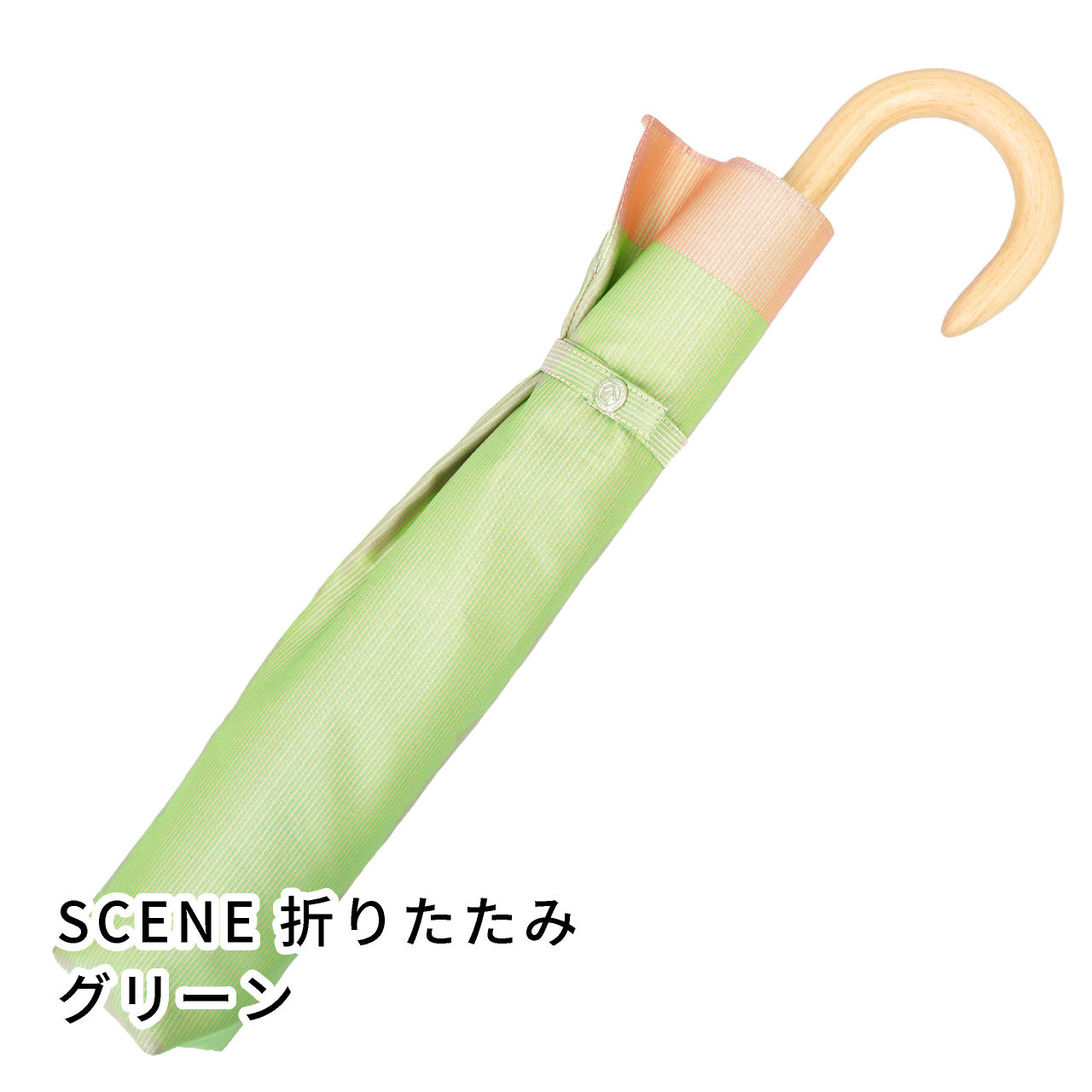 晴雨兼用　レディース　SCENE　グログランシャンブレー　グリーン　折りたたみ傘