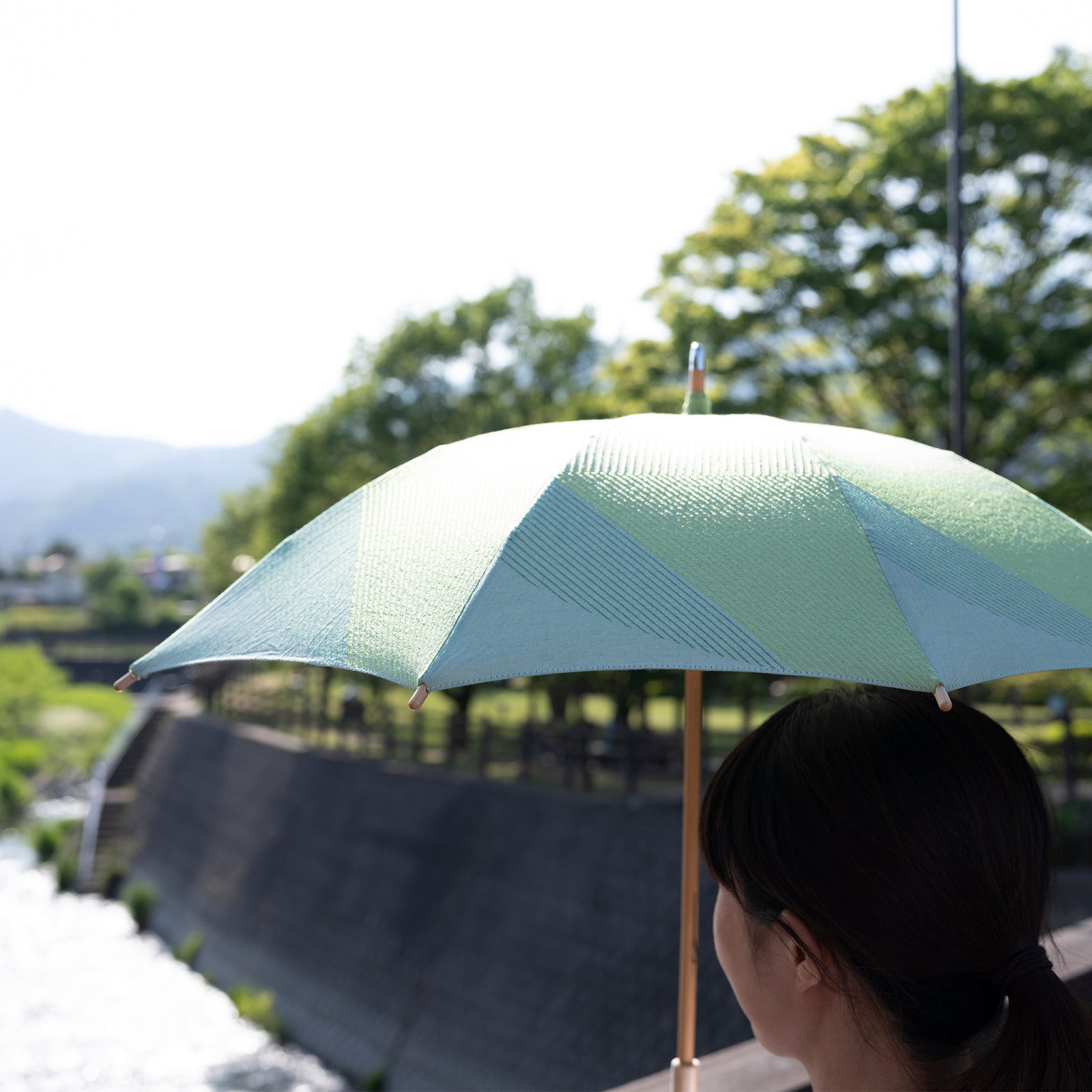 菜 はくさい 日傘 – 槇田商店公式ショップ