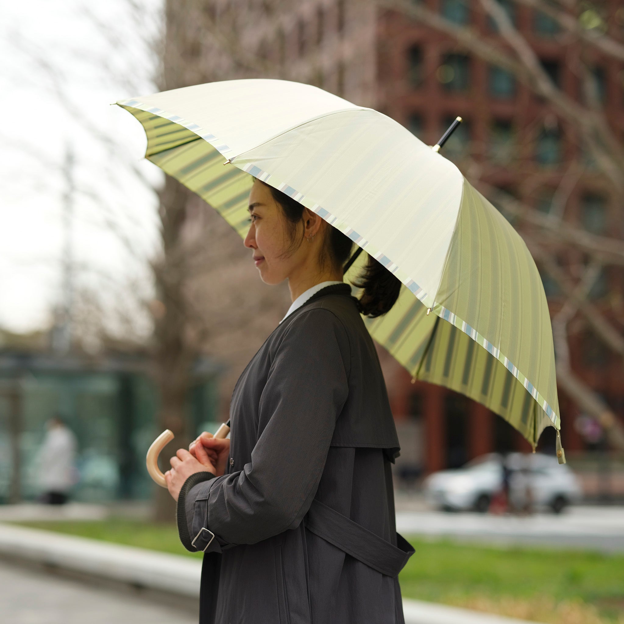 すっきりとした色合いのレディース長傘！晴雨兼用雨傘8本骨60cm